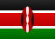Kenyan Flag